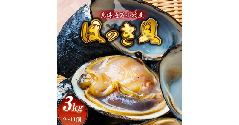 【ふるさと納税】北海道苫小牧産　ほっき貝　3kg（9～11個） 魚介類 水産 食品 人気 おすすめ 送料無料