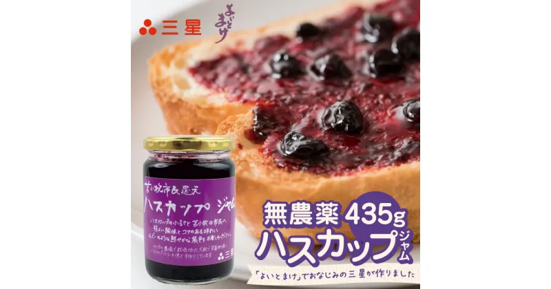 【ふるさと納税】 苫小牧 市民 還元 ハスカップ ジャム スイーツ フルーツ 無農薬 食パン ヨーグルト トースト クラッカー 甘い 栄養 カルシウム ビタミンC 鉄分 アントシアニン 美味しい 北海道 三星 ふるさと納税 苫小牧市 おすすめ ランキング プレゼント ギフト