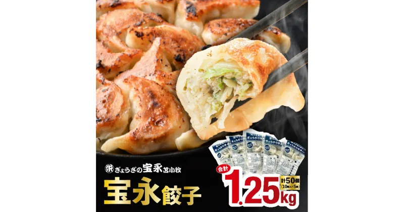 【ふるさと納税】【 ぎょうざの宝永 】 宝永 餃子 （ 250g × 5袋 ）合計 1.25kg ギョウザ 惣菜 総菜 冷凍餃子 焼き餃子 水餃子 おかず おつまみ つまみ 鶏肉 ミンチ もちもち お肉 肉汁 冷凍 お弁当 ふるさと納税 北海道 苫小牧市 おすすめ ランキング プレゼント ギフト