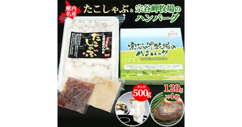 【ふるさと納税】【稚内名産セット】たこしゃぶ500g(たれ付)&宗谷岬牧場のハンバーグ120g×4枚【配送不可地域：離島】【1063767】