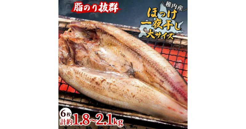 【ふるさと納税】 脂のり抜群 稚内産 ほっけ 一夜干し 6枚 セット 北海道 ホッケ 干物 ギフト プレゼント 贈り物 送料無料 【配送不可地域：離島】【1100287】