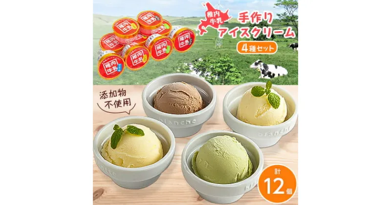 【ふるさと納税】稚内牛乳　アイスクリーム4種12個セット (バニラ、チョコ、宗谷の塩、稚内産クマザサ)【配送不可地域：離島】【1143772】