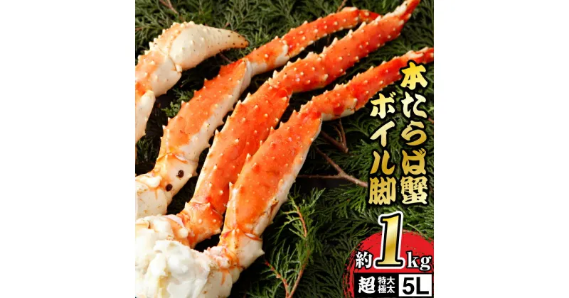 【ふるさと納税】 本たらば蟹 ボイル済み _【1肩1kgの極太5Lサイズ】本たらば蟹ボイル脚1kg_ たらば蟹 たらば タラバガニ カニ 蟹 蟹足 かに脚 北海道 魚介 海産物 人気 【配送不可地域：離島】【1011035】