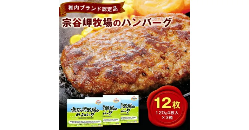 【ふるさと納税】【稚内ブランド認定品】宗谷岬牧場のハンバーグ　120g4枚入×3箱(合計12枚)_ ハンバーグ 牛肉 肉 おかず お惣菜 お弁当 北海道 稚内市 稚内 ふるさと 人気 【配送不可地域：離島】【1019688】