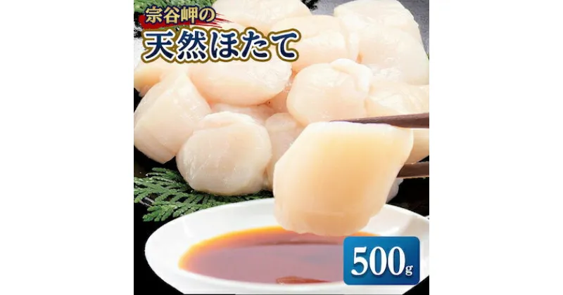 【ふるさと納税】宗谷岬の天然ほたて500g【配送不可地域：離島】【1101396】