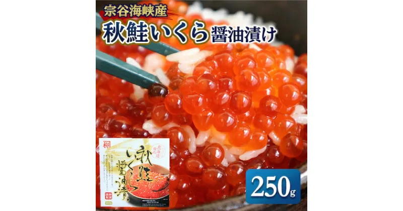 【ふるさと納税】【宗谷海峡産】秋鮭いくら醤油漬け250g【配送不可地域：離島】【1101397】