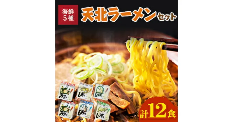 【ふるさと納税】 天北ラーメンセット 海鮮 5種 ( 12食 入り ) _ ラーメン 拉麺 麺 みそ 味噌 しお 塩 しょうゆ 醤油 ギフト プレゼント 贈り物 送料無料 【配送不可地域：離島】【1105439】