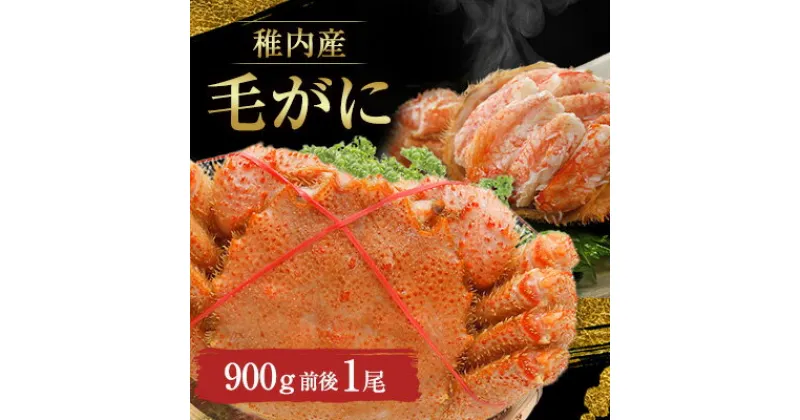 【ふるさと納税】稚内産　毛がに　900g前後　1尾_ 北海道 毛がに 毛蟹 かに カニ 蟹 冷凍 ギフト プレゼント 贈り物 送料無料 【配送不可地域：離島】【1113074】