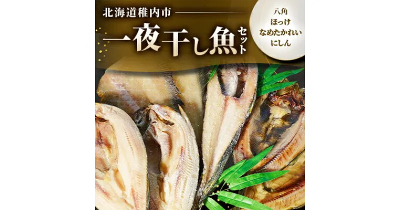 【ふるさと納税】一夜干し魚セット【配送不可地域：離島】【1141964】