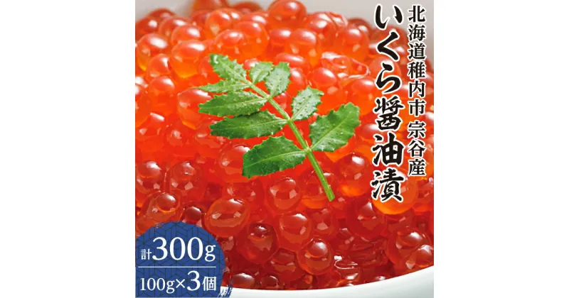 【ふるさと納税】【 北海道 稚内市 宗谷産 】 いくら 醤油漬 100g × 3個 _ イクラ いくら醤油漬け 鮭いくら 鮭イクラ 鮭 秋鮭 魚卵 魚 魚介 小分け 北海道産 国産 海鮮 人気 ランキング 送料無料 【配送不可地域：離島】【1258389】