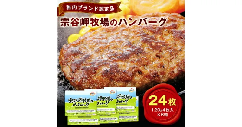 【ふるさと納税】【稚内ブランド認定品】宗谷岬牧場のハンバーグ　120g4枚入×6箱(合計24枚)【配送不可地域：離島】【1900127】