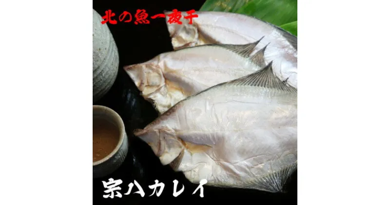 【ふるさと納税】【 北海道 の 居酒屋 気分!】 一夜干し 宗八 カレイ 4パックセット 稚内_ 北海道 干物 カレイ かれい ギフト プレゼント 贈り物 送料無料 【配送不可地域：離島】【1301857】