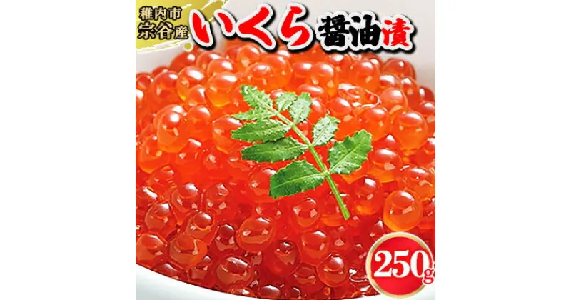 【ふるさと納税】【北海道宗谷産】いくら醤油漬250g【配送不可地域：離島】【1061374】