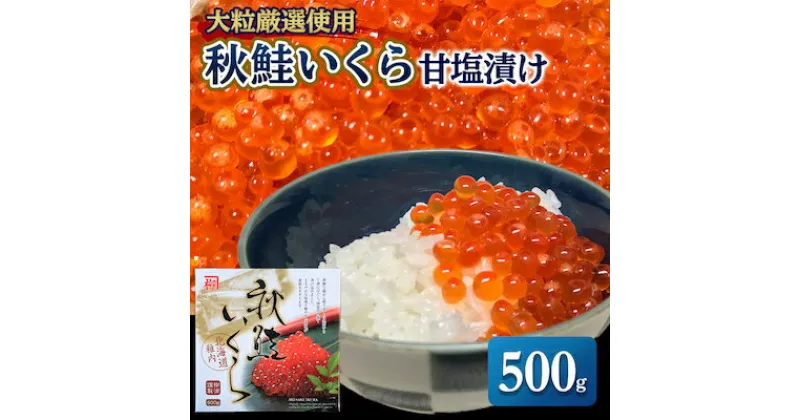 【ふるさと納税】大粒厳選使用　秋鮭いくら甘塩漬け500g【配送不可地域：離島】【1132839】