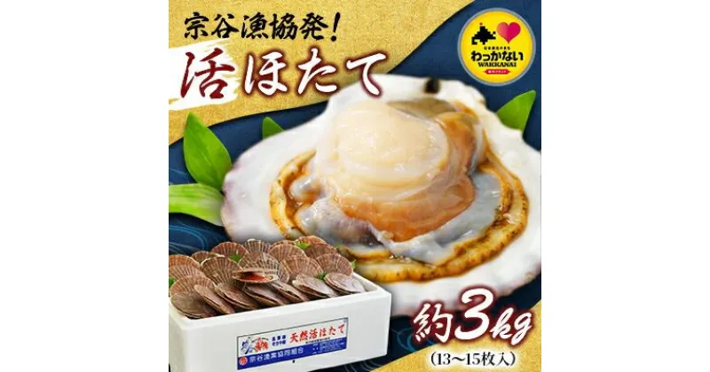 【ふるさと納税】宗谷漁協発!産地直送!活ほたて約3kg(13～15枚入)_ ほたて 帆立 ホタテ ホタテ貝 帆立貝 貝 海鮮 魚介 北海道 稚内市 稚内 人気 ふるさと 【配送不可地域：離島】【1305797】