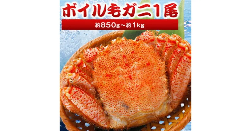 【ふるさと納税】北海道産 毛ガニ 1尾 850g～1kg (ボイル)【2024製造】【配送不可地域：離島】【1381371】