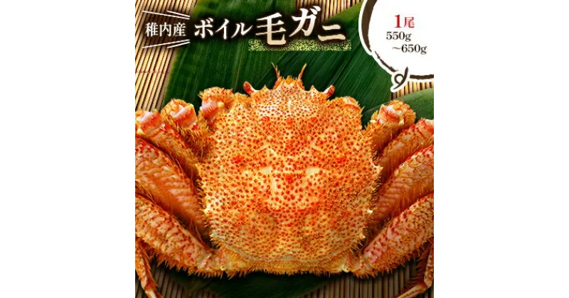 【ふるさと納税】【2024製造】ボイル毛ガニ1尾550g～650g【配送不可地域：離島】【1381390】