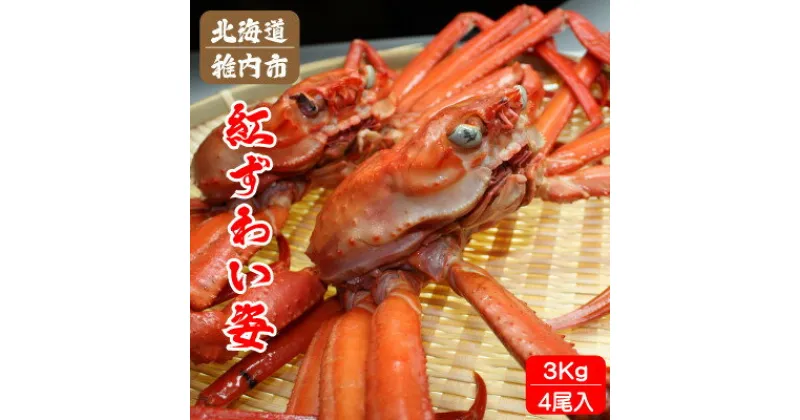 【ふるさと納税】北海道稚内産 紅ズワイガニ 姿 3kg 4尾入 蟹食べ放題 ♪ 脚 剥き方 ガイド付【配送不可地域：離島】【1483480】