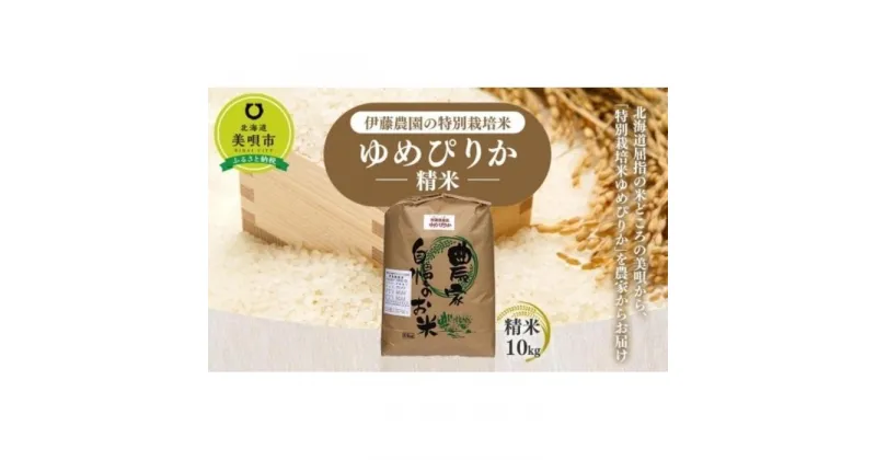 【ふるさと納税】【令和6年産】伊藤農園の特別栽培米ゆめぴりか 精米（10kg） | お米 こめ 白米 食品 人気 おすすめ 送料無料