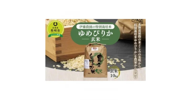 【ふるさと納税】【令和6年産】伊藤農園の特別栽培米ゆめぴりか 玄米（10kg） | お米 こめ 食品 人気 おすすめ 送料無料