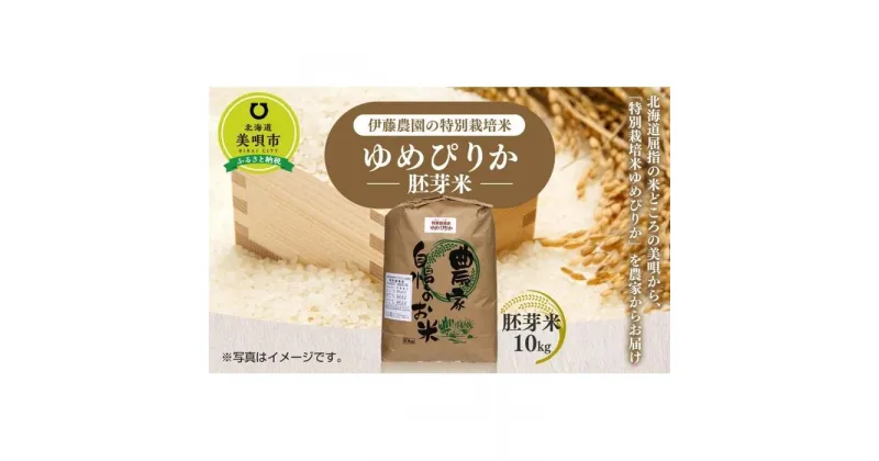 【ふるさと納税】【令和6年産】伊藤農園の特別栽培米ゆめぴりか 胚芽米（10kg） | お米 こめ 白米 食品 人気 おすすめ 送料無料 セット