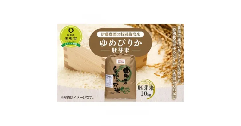 【ふるさと納税】【令和6年産】伊藤農園の特別栽培米ゆめぴりか　胚芽米（10kg）【定期便5ヶ月】 | お米 こめ 食品 人気 おすすめ 送料無料 セット