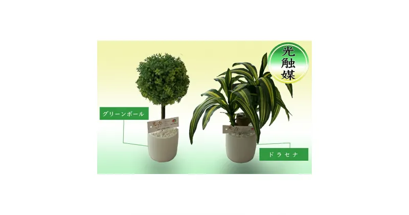 【ふるさと納税】光触媒 造花 約25cm ×2 セット ドラセナ グリーンボール 観葉植物 フェイクグリーン インテリア 置物 空気清浄 人工 観葉 植物 触媒 卓上 ミニ 雑貨 フェイク グリーン 北海道 芦別市