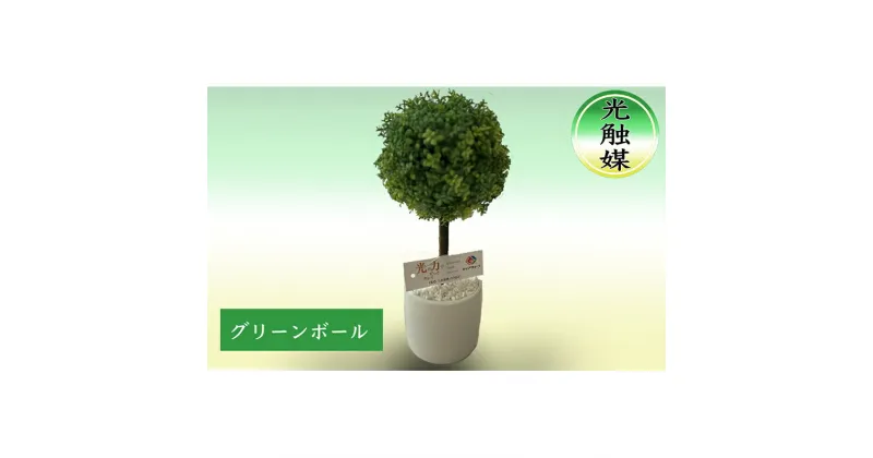 【ふるさと納税】光触媒・造花 グリーンボール 約25cm 観葉植物 植物 北海道 芦別市 日本インソール工業　【 雑貨 日用品 消臭 抗菌 化学反応 浄化 カビ 菌 】