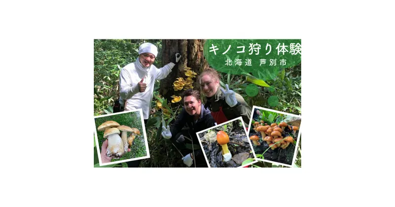 【ふるさと納税】季節のキノコ狩り 体験チケット 1枚 (3名まで参加可能) 北海道 芦別市 ioru　 体験チケット 収穫体験 森林 渓流 散策 珍しい お持ち帰り きのこ鍋 きのこ汁 煮物 きのこご飯