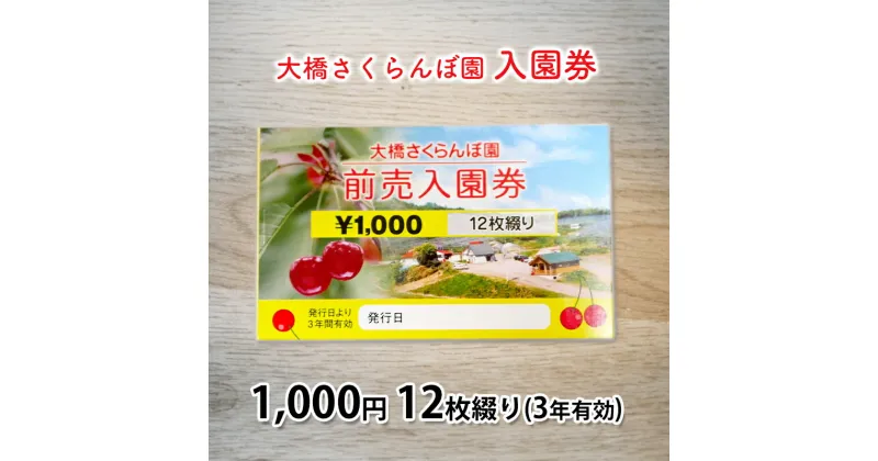 【ふるさと納税】大橋さくらんぼ園【入園券 1000円 12枚綴り（3年有効）】　【芦別市】