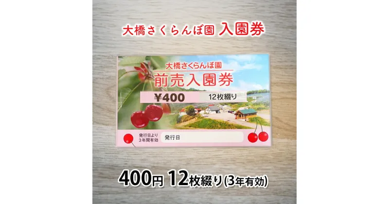 【ふるさと納税】大橋さくらんぼ園【入園券 400円 12枚綴り（3年有効）】　【芦別市】