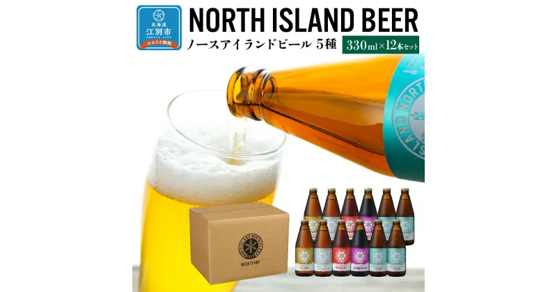 【ふるさと納税】ノースアイランドビール5種12本セット | お酒 ビール セット 飲み比べ クラフトビール 北海道ふるさと納税 江別 ふるさと納税 北海道 【AA002】