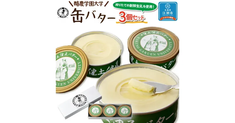 【ふるさと納税】酪農学園大学　缶バター3個セット | バター 乳製品 加工品 クリーム 北海道産 生乳 北海道ふるさと納税 江別 ふるさと納税 北海道