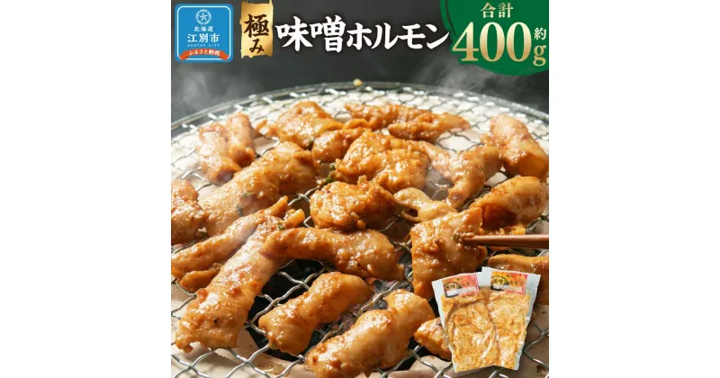 【ふるさと納税】極み味噌ホルモン 400g(200g×2袋) | 肉 お肉 にく 食品 北海道産 人気 おすすめ 送料無料 ギフト