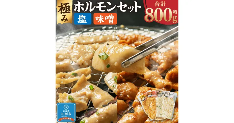 【ふるさと納税】極みホルモンセット 合計800g(塩ホルモン 400g・味噌ホルモン 400g) | 肉 お肉 にく 食品 北海道産 人気 おすすめ 送料無料 ギフト