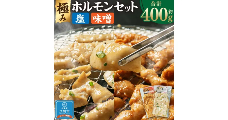 【ふるさと納税】極みホルモンセット 合計400g(塩ホルモン 200g・味噌ホルモン 200g) | 肉 お肉 にく 食品 北海道産 人気 おすすめ 送料無料 ギフト