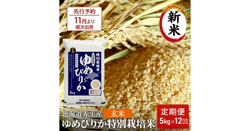 【ふるさと納税】【先行予約2024年産米・11月より順次出荷】玄米 北海道赤平産 ゆめぴりか 5kg 特別栽培米 【12回お届け】 米 北海道 定期便　定期便・定期便 ふるさと納税 ゆめぴりか 玄米 お米 赤平産　お届け：2024年11月中旬より順次出荷