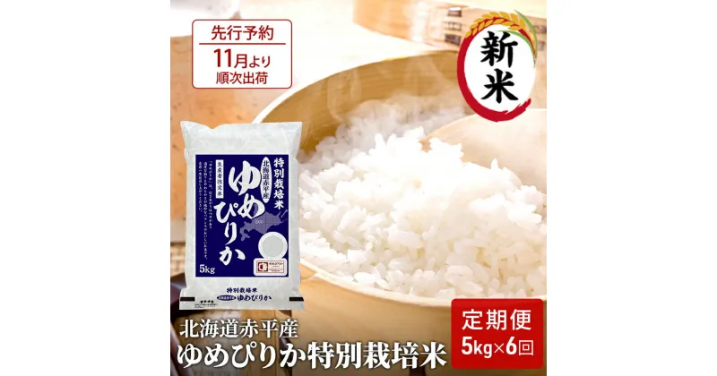 【ふるさと納税】【先行予約2024年産米・11月より順次出荷】北海道赤平産 ゆめぴりか 5kg 特別栽培米 【6回お届け】 精米 米 北海道 定期便　定期便・定期便 ふるさと納税 ゆめぴりか 米 赤平産　お届け：2024年11月中旬より順次出荷