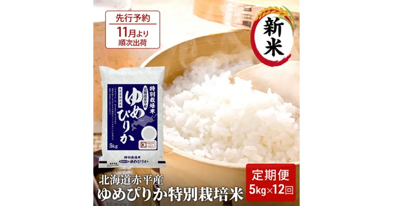 【ふるさと納税】【先行予約2024年産米・11月より順次出荷】北海道赤平産 ゆめぴりか 5kg 特別栽培米 【12回お届け】 精米 米 北海道 定期便　定期便・定期便 ふるさと納税 ゆめぴりか 米 赤平産　お届け：2024年11月中旬より順次出荷