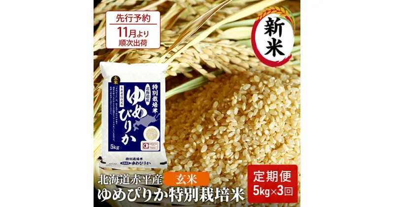 【ふるさと納税】【先行予約2024年産米・11月より順次出荷】玄米 北海道赤平産 ゆめぴりか 5kg 特別栽培米 【3回お届け】 米 北海道 定期便　定期便・定期便 玄米 お米 ふるさと納税 ゆめぴりか 赤平産　お届け：2024年11月中旬より順次出荷