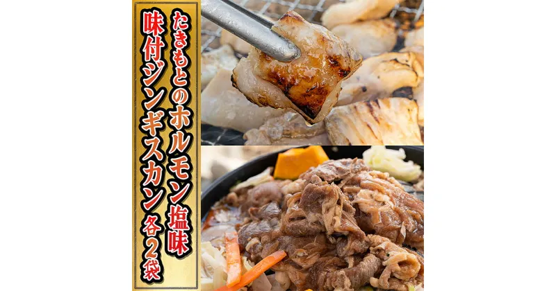 【ふるさと納税】たきもとのホルモン（塩味）・味付ジンギスカン　豚肉 ホルモン 羊肉 ラム肉 ふるさと納税 ジンギスカン