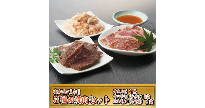 【ふるさと納税】人気の特製ホルモン入り3種の焼肉セット　お肉・牛肉・焼肉・バーベキュー・牛肉/ホルモン