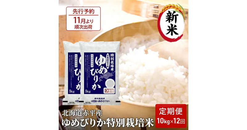 【ふるさと納税】【先行予約2024年産米・11月より順次出荷】北海道赤平産 ゆめぴりか 10kg (5kg×2袋) 特別栽培米 【12回お届け】 米 北海道 定期便　定期便・米・お米・ゆめぴりか・定期便 赤平産　お届け：2024年11月中旬より順次出荷