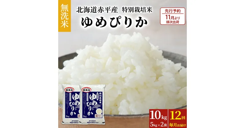 【ふるさと納税】【先行予約2024年産米・11月より順次出荷】無洗米 北海道赤平産 ゆめぴりか 10kg (5kg×2袋) 特別栽培米 【12回お届け】 米 北海道 定期便　定期便・定期便 米 お米 ふるさと納税 ゆめぴりか 無洗米　お届け：2024年11月中旬より順次出荷