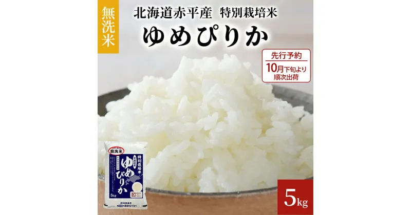 【ふるさと納税】【先行予約2024年産米・10月下旬より順次出荷】無洗米 北海道赤平産 ゆめぴりか 5kg 特別栽培米 米 北海道　米 お米 ふるさと納税 無洗米 特別栽培 ゆめぴりか　お届け：2024年10月下旬より順次出荷