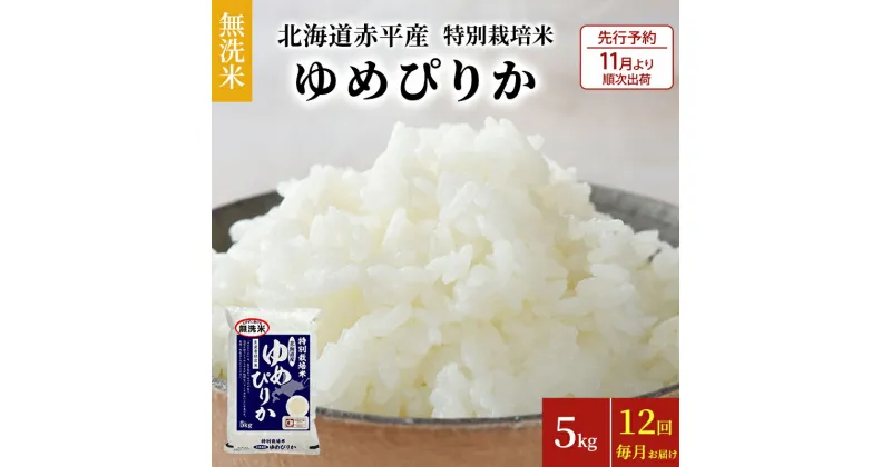 【ふるさと納税】【先行予約2024年産米・11月より順次出荷】無洗米 北海道赤平産 ゆめぴりか 5kg 特別栽培米 【12回お届け】 米 北海道 定期便　定期便・ふるさと納税 ゆめぴりか 無洗米 定期便・米・お米　お届け：2024年11月中旬より順次出荷