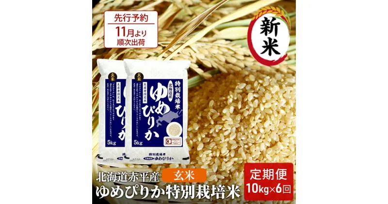 【ふるさと納税】【先行予約2024年産米・11月より順次出荷】玄米 北海道赤平産 ゆめぴりか 10kg (5kg×2袋) 特別栽培米 【6回お届け】 米 北海道 定期便　定期便・ふるさと納税 玄米 定期便 ゆめぴりか お米 米　お届け：2024年11月中旬より順次出荷