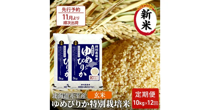 【ふるさと納税】【先行予約2024年産米・11月より順次出荷】玄米 北海道赤平産 ゆめぴりか 10kg (5kg×2袋) 特別栽培米 【12回お届け】 米 北海道 定期便　定期便・ふるさと納税 玄米 定期便 米 お米 ゆめぴりか　お届け：2024年11月中旬より順次出荷