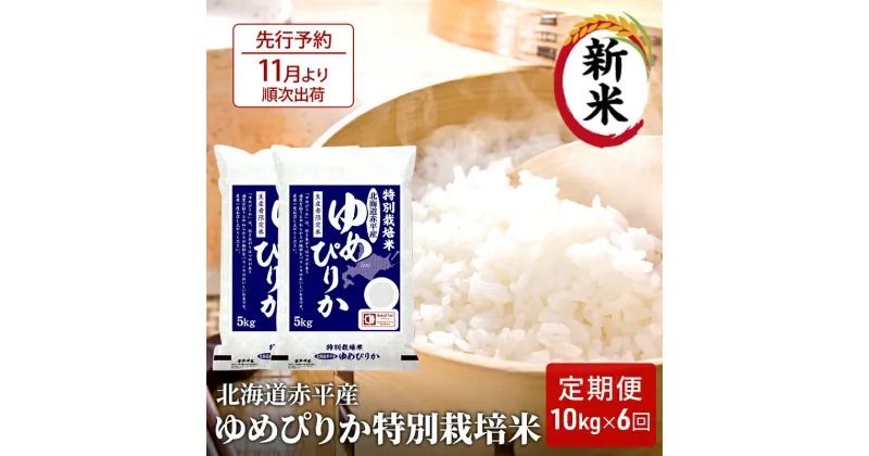 【ふるさと納税】【先行予約2024年産米・11月より順次出荷】北海道赤平産 ゆめぴりか 10kg (5kg×2袋) 特別栽培米 【6回お届け】 米 北海道 定期便　定期便・米・お米・ゆめぴりか・定期便 赤平産　お届け：2024年11月中旬より順次出荷