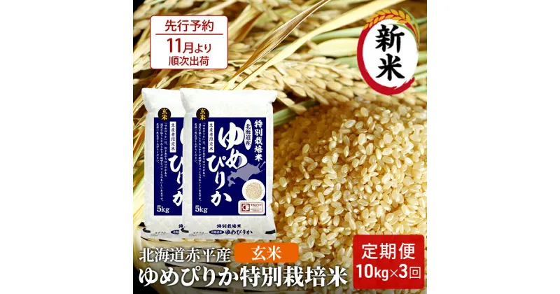 【ふるさと納税】【先行予約2024年産米・11月より順次出荷】玄米 北海道赤平産 ゆめぴりか 10kg (5kg×2袋) 特別栽培米 【3回お届け】 米 北海道 定期便　定期便・定期便 ふるさと納税 ゆめぴりか 玄米 お米 米　お届け：2024年11月中旬より順次出荷